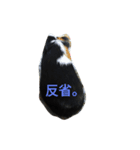 モルモットのモコのスタンプ 2（個別スタンプ：1）