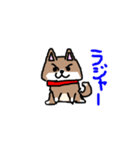 柴犬ガウガウちゃんねる 2（個別スタンプ：1）