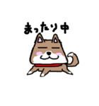 柴犬ガウガウちゃんねる 2（個別スタンプ：2）