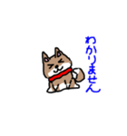 柴犬ガウガウちゃんねる 2（個別スタンプ：3）