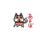 柴犬ガウガウちゃんねる 2（個別スタンプ：4）