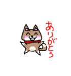 柴犬ガウガウちゃんねる 2（個別スタンプ：5）