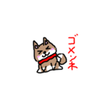 柴犬ガウガウちゃんねる 2（個別スタンプ：8）