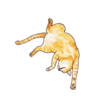 ぽっちゃり猫のトラちゃん（個別スタンプ：1）