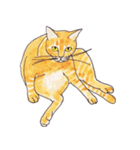 ぽっちゃり猫のトラちゃん（個別スタンプ：6）