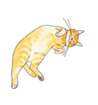 ぽっちゃり猫のトラちゃん（個別スタンプ：7）