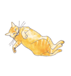 ぽっちゃり猫のトラちゃん（個別スタンプ：8）