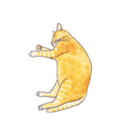ぽっちゃり猫のトラちゃん（個別スタンプ：9）