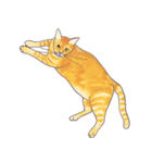 ぽっちゃり猫のトラちゃん（個別スタンプ：16）