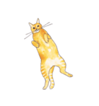 ぽっちゃり猫のトラちゃん（個別スタンプ：17）