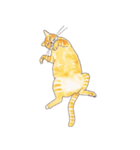 ぽっちゃり猫のトラちゃん（個別スタンプ：18）