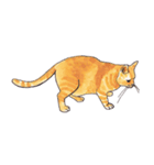 ぽっちゃり猫のトラちゃん（個別スタンプ：20）