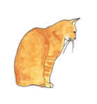ぽっちゃり猫のトラちゃん（個別スタンプ：32）