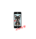 柴チワのサク。（個別スタンプ：21）