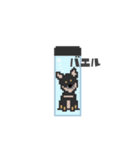 柴チワのサク。（個別スタンプ：31）