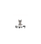 柴チワのサク。（個別スタンプ：38）