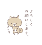 ポメたんのけっこう使えるスタンプ（個別スタンプ：1）