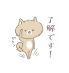 ポメたんのけっこう使えるスタンプ（個別スタンプ：3）