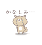 ポメたんのけっこう使えるスタンプ（個別スタンプ：5）
