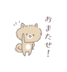 ポメたんのけっこう使えるスタンプ（個別スタンプ：8）