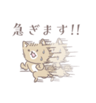 ポメたんのけっこう使えるスタンプ（個別スタンプ：14）