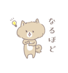 ポメたんのけっこう使えるスタンプ（個別スタンプ：16）