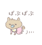 ポメたんのけっこう使えるスタンプ（個別スタンプ：19）