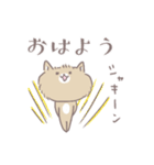 ポメたんのけっこう使えるスタンプ（個別スタンプ：25）