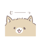 ポメたんのけっこう使えるスタンプ（個別スタンプ：36）