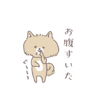 ポメたんのけっこう使えるスタンプ（個別スタンプ：38）