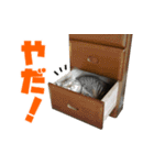 猫でコミュニケーション（個別スタンプ：4）