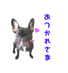 フレブル凛ちゃん2（個別スタンプ：1）