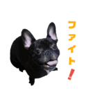 フレブル凛ちゃん2（個別スタンプ：22）