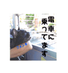 フレブル凛ちゃん2（個別スタンプ：32）