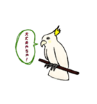 富山弁のオウム。（個別スタンプ：1）