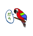 富山弁のオウム。（個別スタンプ：2）