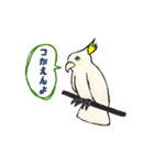 富山弁のオウム。（個別スタンプ：3）