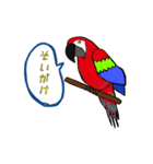 富山弁のオウム。（個別スタンプ：6）