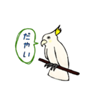 富山弁のオウム。（個別スタンプ：7）