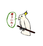 富山弁のオウム。（個別スタンプ：13）