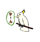 富山弁のオウム。（個別スタンプ：15）