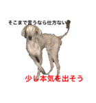 我が家のペット追加！（個別スタンプ：2）