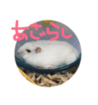 しんたろうの一日。（個別スタンプ：2）