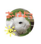 しんたろうの一日。（個別スタンプ：3）
