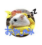 しんたろうの一日。（個別スタンプ：4）