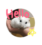 しんたろうの一日。（個別スタンプ：5）