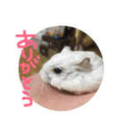 しんたろうの一日。（個別スタンプ：6）