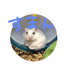 しんたろうの一日。（個別スタンプ：7）