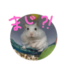 しんたろうの一日。（個別スタンプ：9）