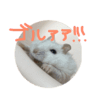 しんたろうの一日。（個別スタンプ：10）